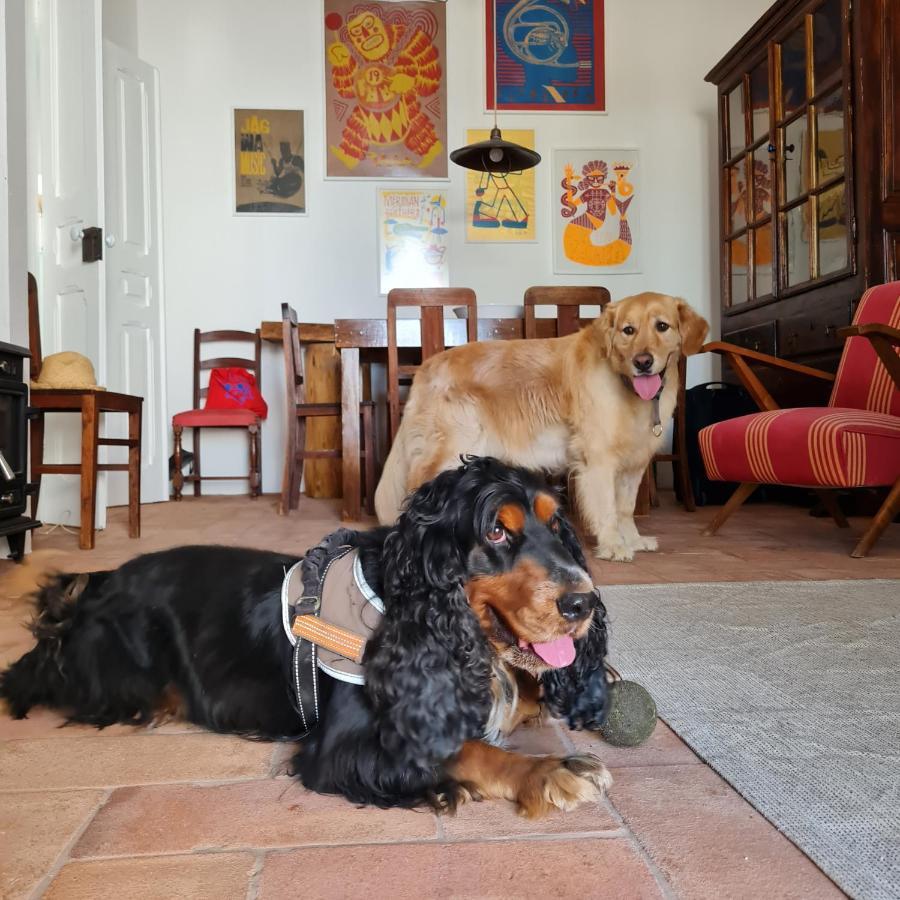 Casa Magana Em Grandola Villa Bagian luar foto
